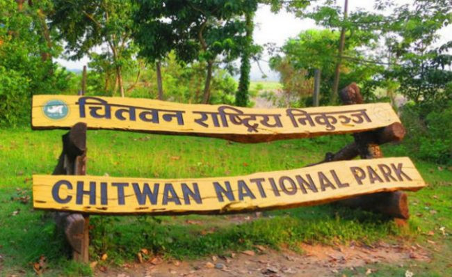 निकुञ्जभित्र सडकमा मोज्याकको काम सुरु