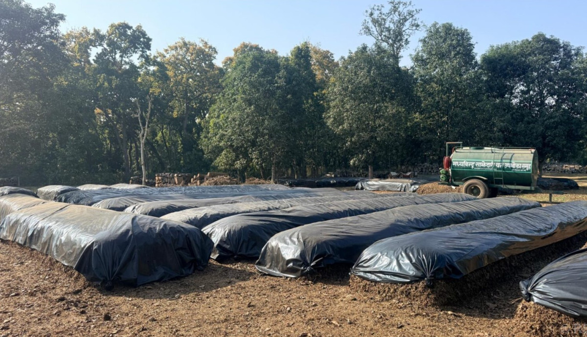 नवलपुरमा साझेदारी वनद्वारा जैविक मल उत्पादन सुरु