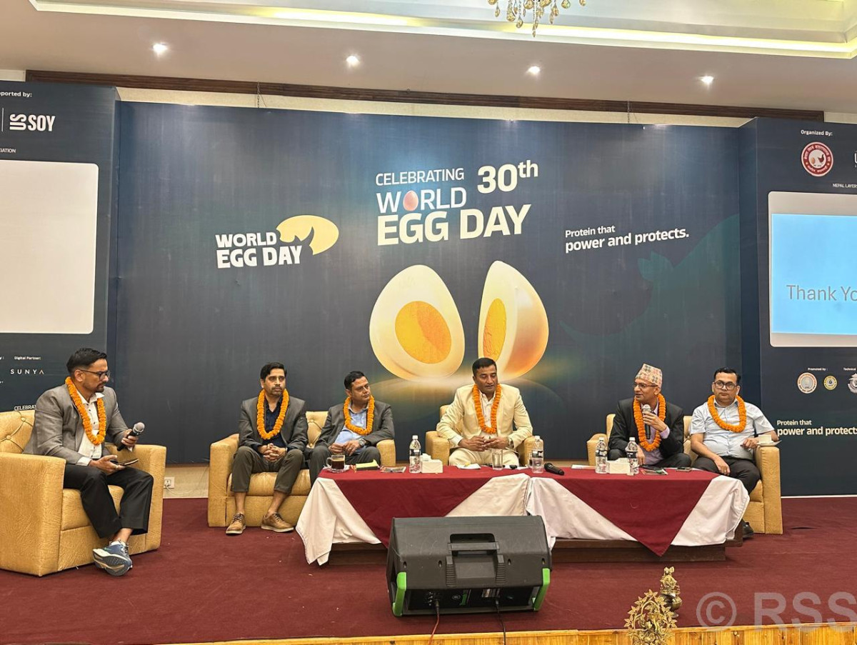 विश्व अण्डा दिवस : नेपालमा वार्षिक प्रतिव्यक्ति ६९ अण्डा खपत हुँदै